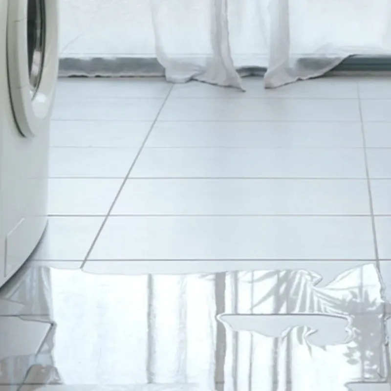 Appliance Leak Cleanup in Alto, TX