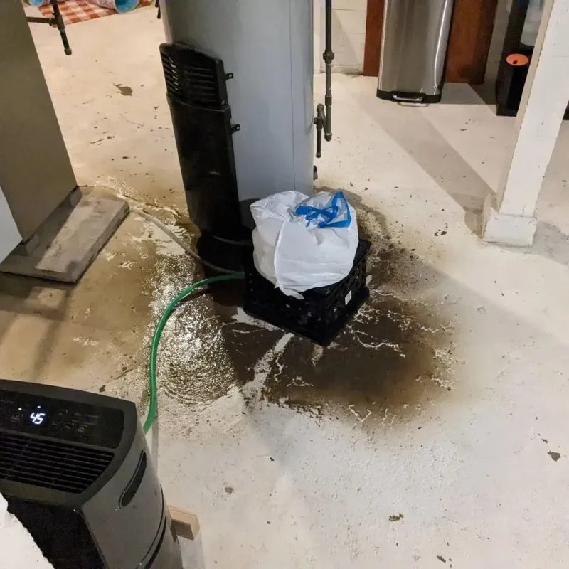 Sewage Backup Cleanup Service in Alto, TX